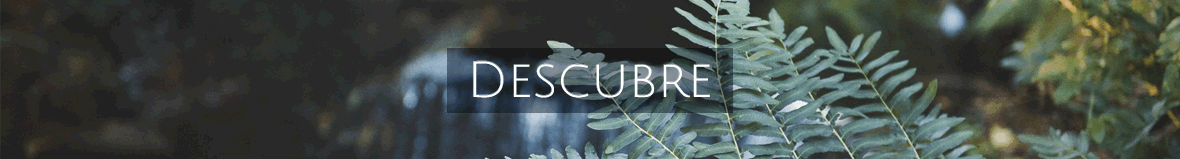 Promociones Para Bodas Pazo Santiago Promociones Banner Pazo do Tambre