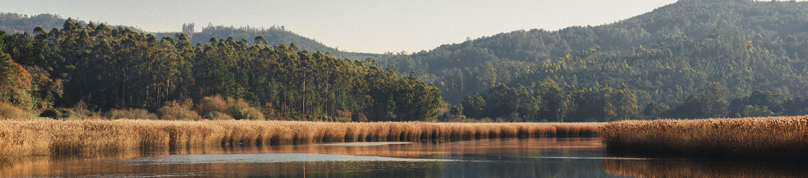 P Gina De Inicio Gastronomía Pazo do Tambre