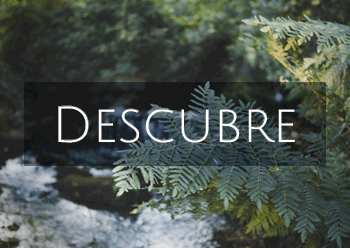 P Gina De Inicio Promociones Banner Pazo do Tambre