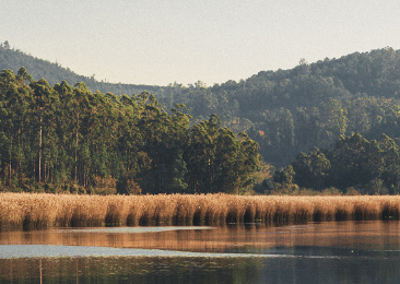 P Gina De Inicio Gastronomía Pazo do Tambre